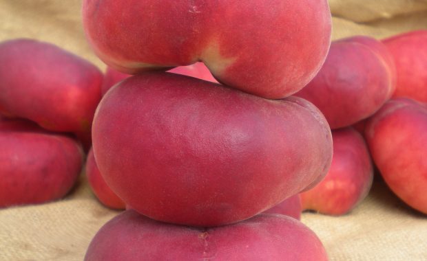 Frutos de paraguayo